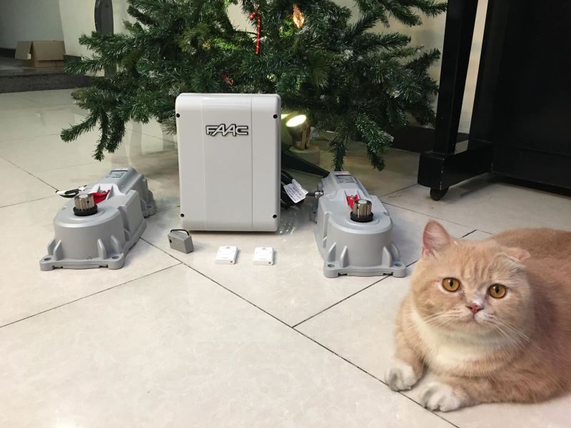 motor cổng âm sàn FAAC - motorcong24h.com